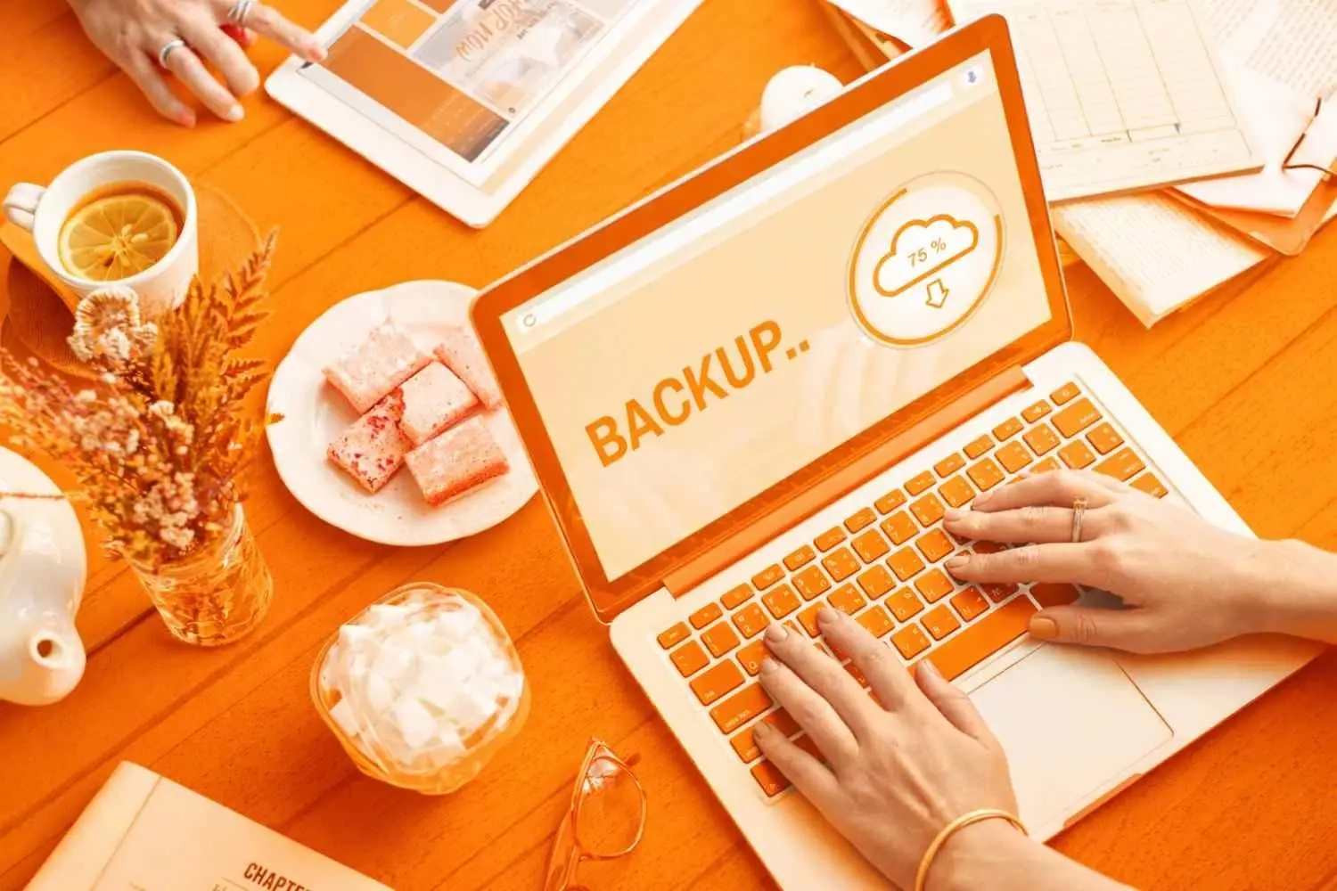 druva partner in delhi chandigahr jaipur and- mumbai